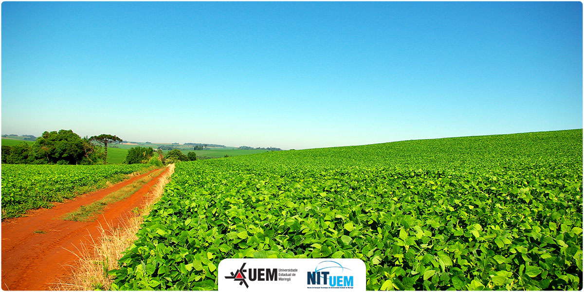 2024-abertura-agri-e-agro