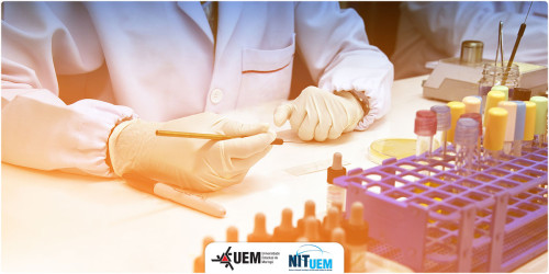 2024-abertura-saude-humana